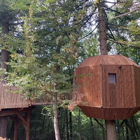 Domaine Des Etoiles - Insolites